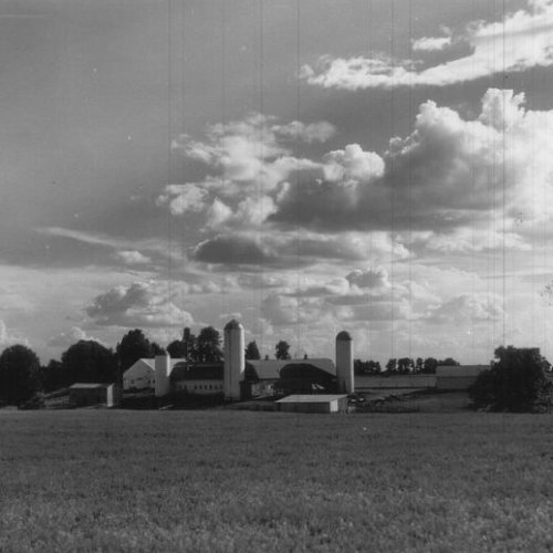 Plainview